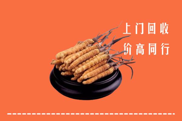 高价求购：田林县回收散虫草